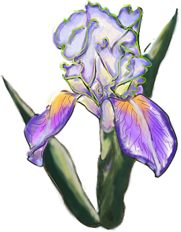 kwiaty bukiety png - SL-Irisflower1.png
