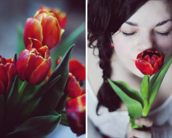 Z kwiatami - tulip_by_parallelis-d3b161a.jpg