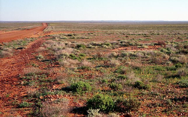 pustynie - Pustynia Strzeleckiego, Australia.jpg