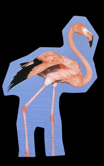 Animals - flamingo-02.png